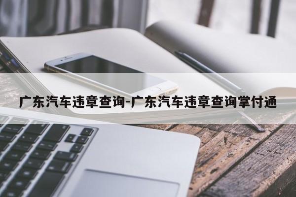 广东汽车违章查询-广东汽车违章查询掌付通