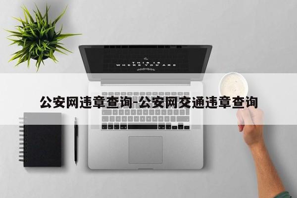 公安网违章查询-公安网交通违章查询