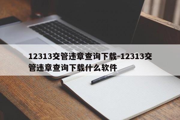 12313交管违章查询下载-12313交管违章查询下载什么软件