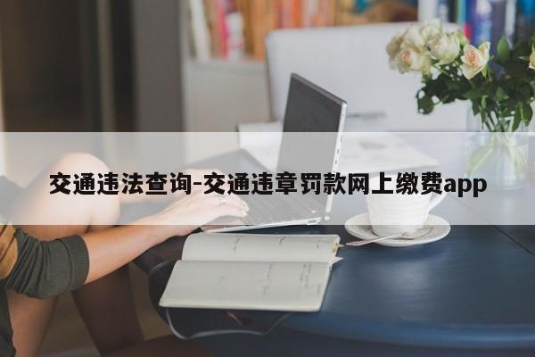 交通违法查询-交通违章罚款网上缴费app