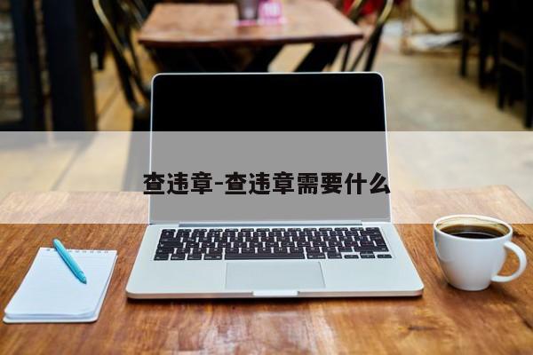 查违章-查违章需要什么