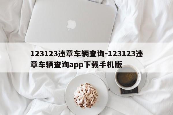 123123违章车辆查询-123123违章车辆查询app下载手机版