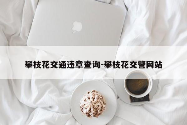攀枝花交通违章查询-攀枝花交警网站